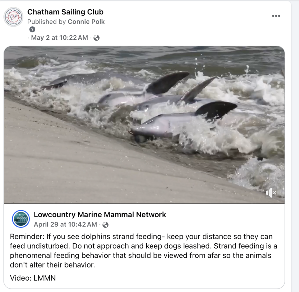 16. Increase Awareness of Wildlife and Habitat Protection<br>We do this on our FB pages regularly. We also do something called Wisdom Wednesday where we invite speakers to educate us on a variety of subjects pertaining to the water. Next up is a retired oceanography professor to talk about our rivers and the ocean.